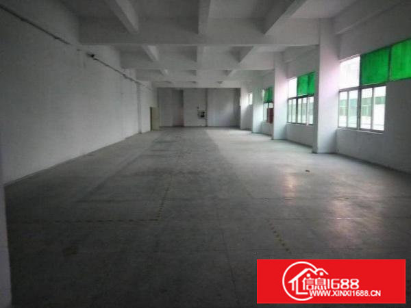 坪山原房东三楼整层1300平方可分租