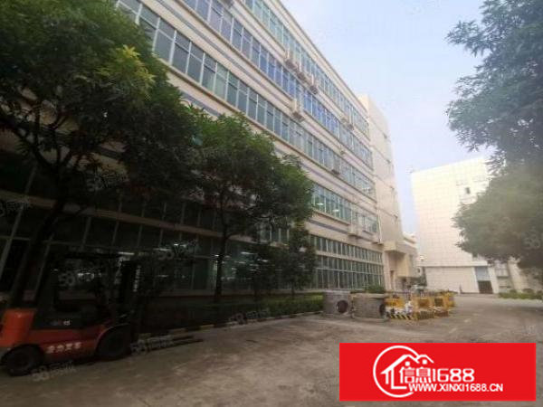 出租！丹竹头一楼厂房仓库大小面积出租（200平800平）