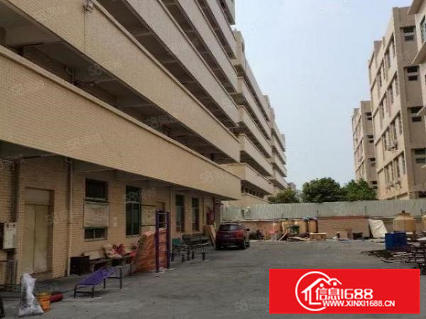 大朗镇新出超大空地独院厂房