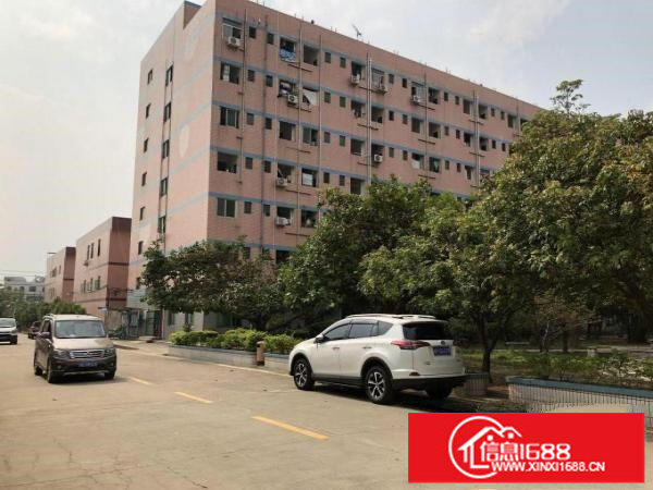 横岗地铁站原房东厂房仓库200平300平500平