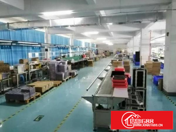 塘厦石潭埔社区楼上整层2300平出租，办公室精装，线路到位