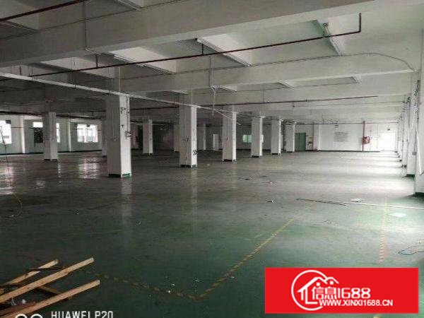 坪地教育北路261平方厂房物业出租超大空地带红本