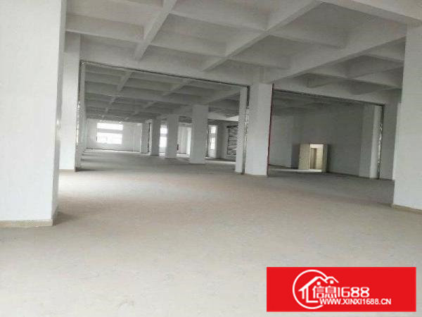 北栅高速出口新出一楼6.5米高标准厂房