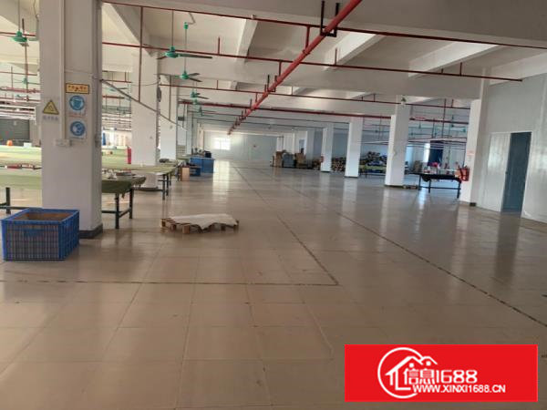 塘厦四村无公摊独院分租1楼1800平方6米高精装