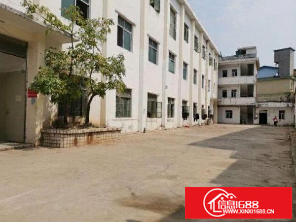 出租坪山区石井路口标准一楼厂房400平，价格20元