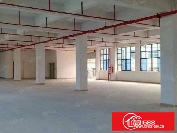 凤岗新出独独院厂房4000平方，大小可分租