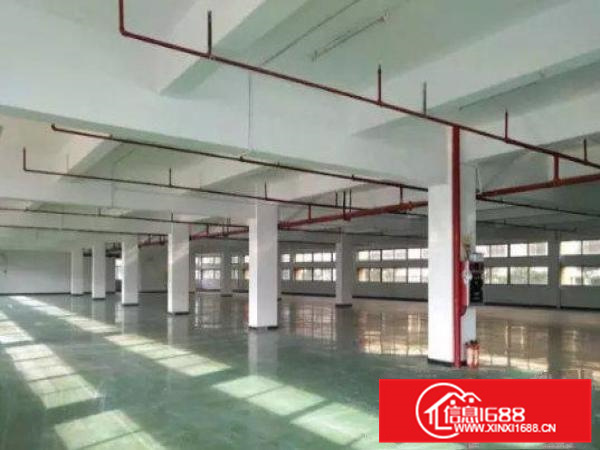 出租惠阳镇隆标准厂房车间300平米