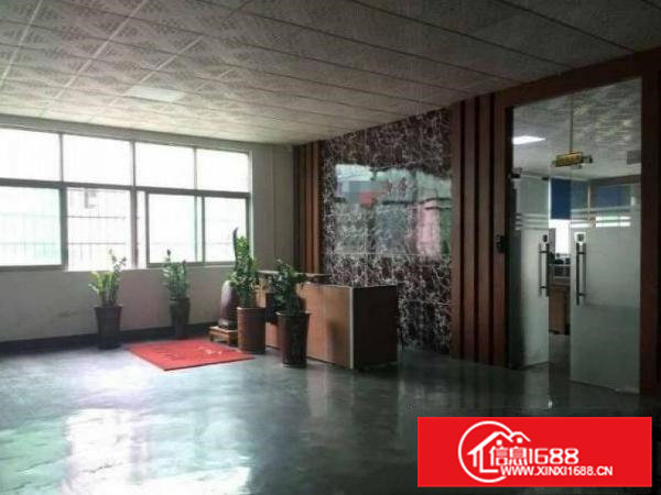 桥头各种独院标准厂房钢构300到80000平方出租