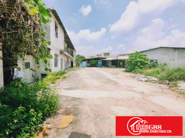 废品打包福音！坪山石田路独院一楼铁皮1500平空地3000平