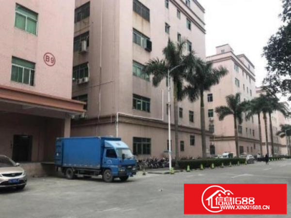 10元！惠州惠阳主干道边独栋厂房6500平米出租