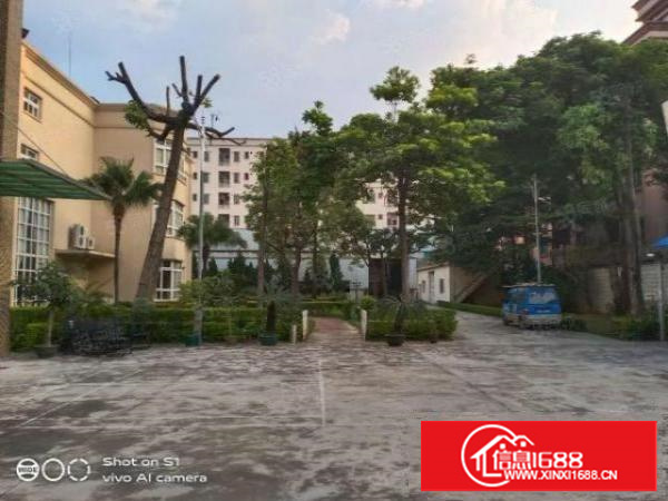 万江石美高度12米可做隔楼，带行车