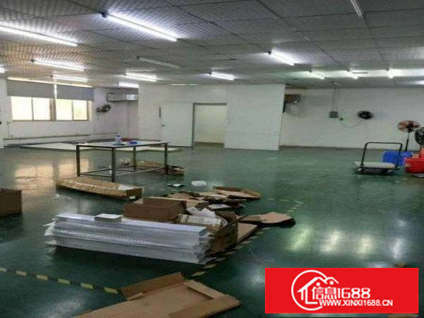 龙岗中心城原房东工业独门独院厂房出租4800平可分租