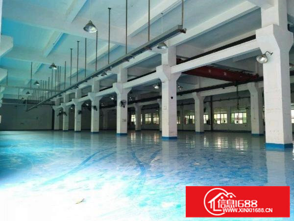 原房东花园式红本厂房招租