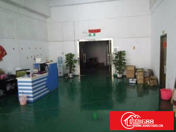 龙岗500平800平1200带装修办公室地坪漆厂房出租
