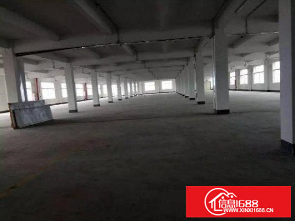 常平岗梓出租楼上厂房1200平方厂房