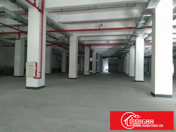 坪山全新独栋红本厂房6800平整租（可整层分)