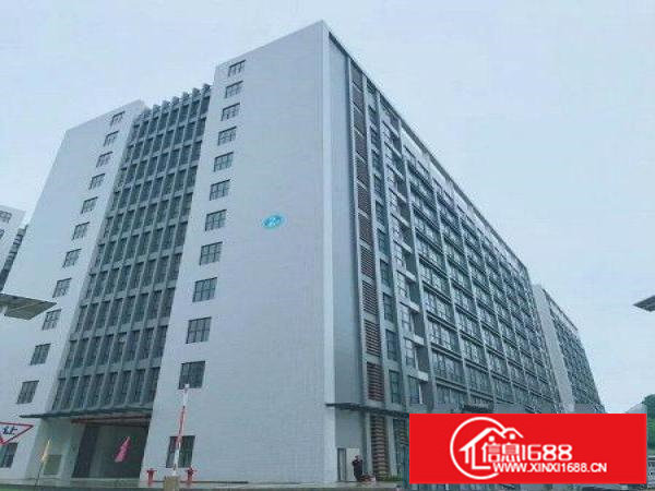 新出红本大厦招租，可做公司部、酒店、医院、学校