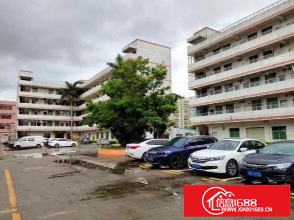 龙华油松新出独栋标准厂房800平方，空地大车位多货车进出方便