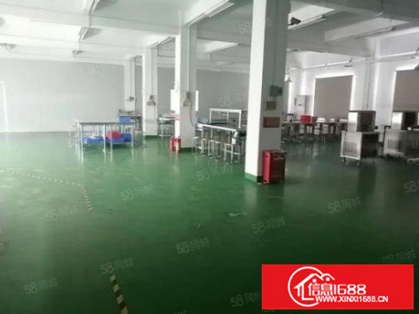 出租龙华观澜新出独门独院厂房7000平实际面积出租