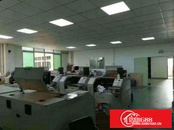 天堂围村厂房二楼600平方，办公室精装修天花吊顶，地坪漆