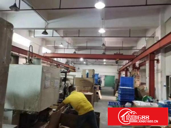 石排独门独院标准厂房带行车