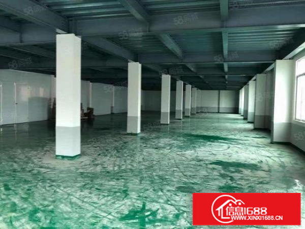 实图）大朗独院厂房1楼2楼4楼各1000平，新地坪漆，可分租