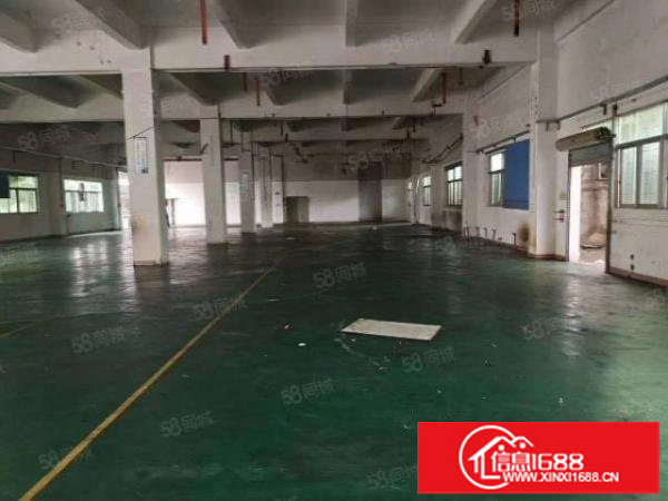 龙岗五联工业区原房东5500平独门独院厂房实际面积出租