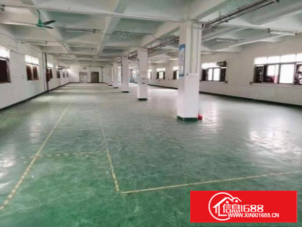 石排镇利屋附近带牛角原房东厂房出租厂房面积13层4800