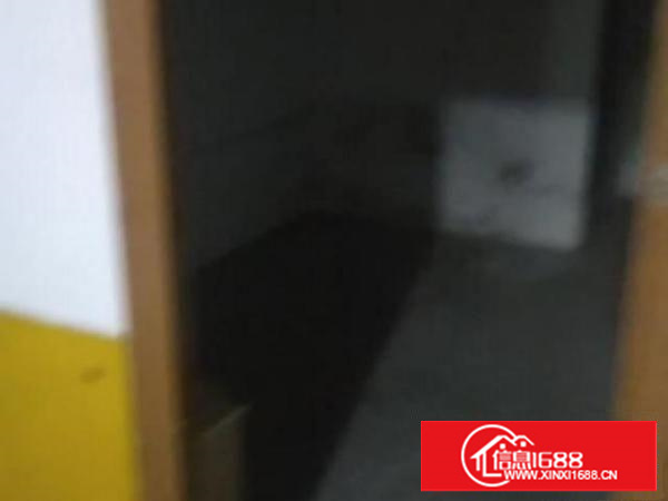 简沙洲清水凹商业街十号庆大楼