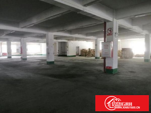 不在改造范围，形象好，顺德勒流1800方标准厂房出租