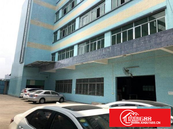 石排新出原房东独门独院标准厂房出租