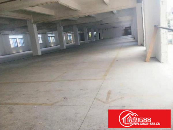 坪山新出一楼600平厂房出租有500平空地