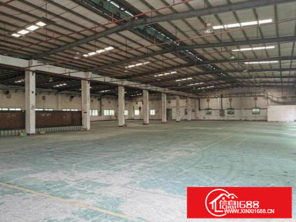 大朗原房东单一层钢构1800方，无公摊，滴水8米，可进大车