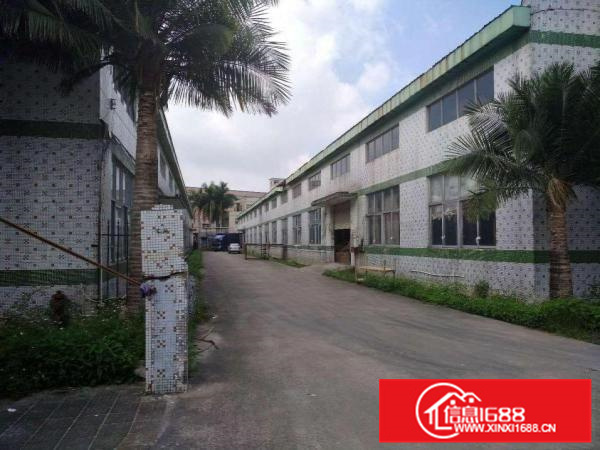 惠阳秋长新出一楼钢构8米高电200可做家私