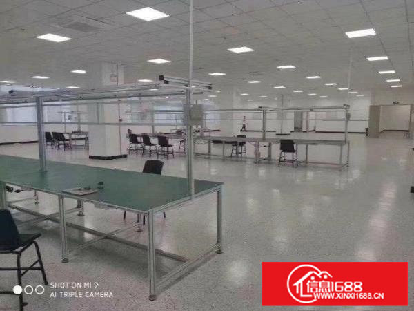 三中新出楼上2800平方有现成塑胶玩具环保证厂房出租