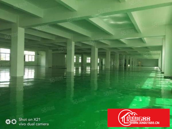 平湖独院厂房出租14200平米，可分租1500平，800平等