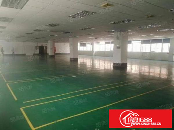 百鸽笼工业区新出厂房385平561平886平200