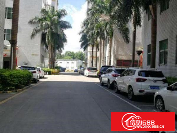 布吉楼上精装修无尘车间1343平厂房出租