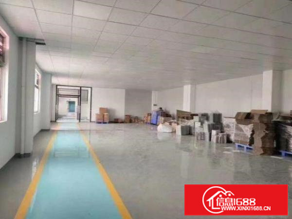 大利新出豪华装修厂房！