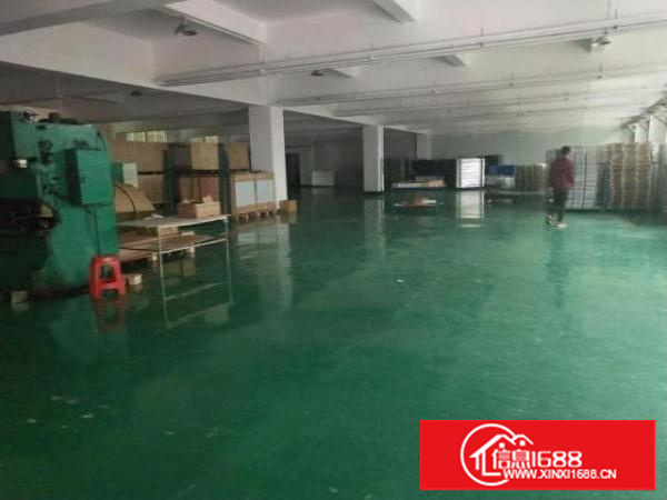 万江带地坪漆水电现成装修12000平出租