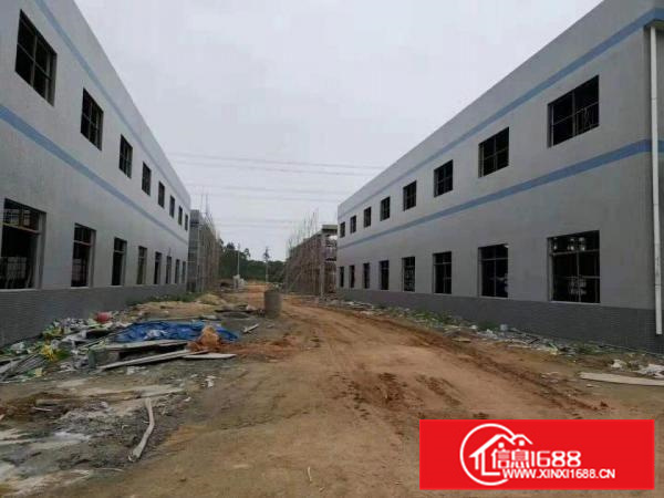 惠阳沙田全新红本钢构厂房30000㎡出租可分租