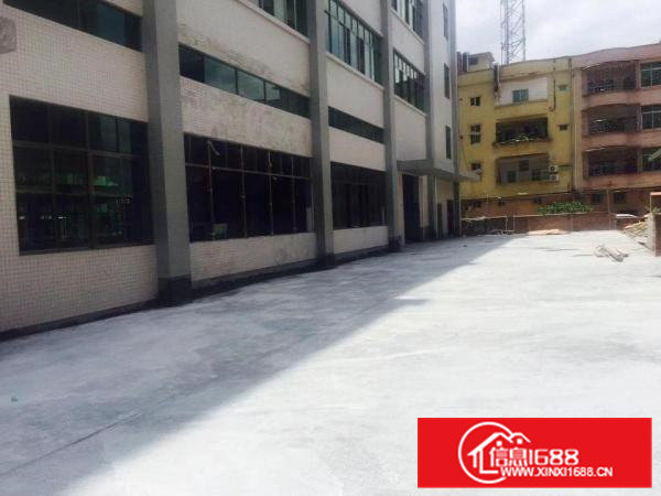 桥头镇屋厦村业主直租全新重工业厂房2360平米