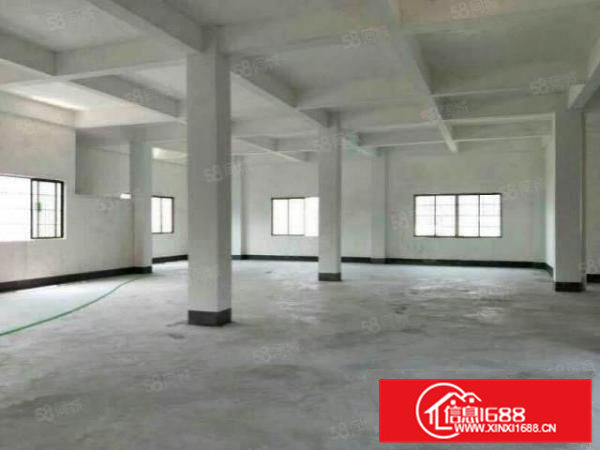 一手房东直租大朗巷头独栋600平方两层厂房水电费自交