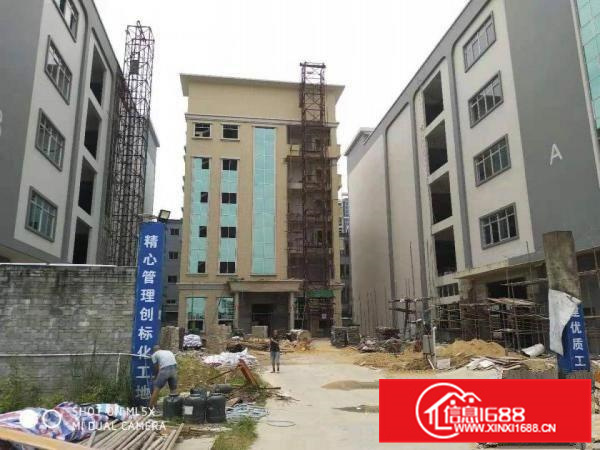 标准厂房出租国有工业用地可办环评工业区厂房易招工可分租