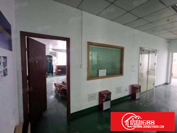 大浪新百丽原房东厂房精装修500平