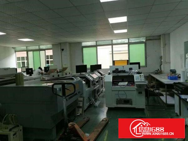 长安沙头新出600平方靓盘，水电齐全，有吊顶，地坪漆！