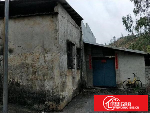 丹竹头横岗镇深坑村独院厂房1000平米