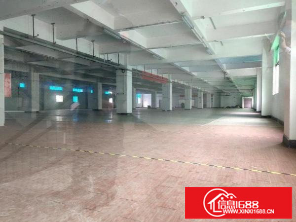 出租龙岗区横岗厂房免中介费