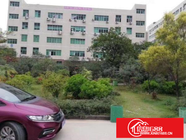 观澜福民新出楼上1850平带无尘车间厂房出租