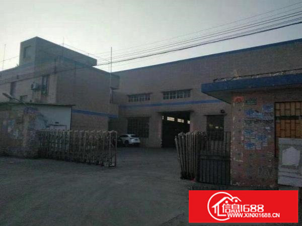 坂田精品独门独院厂房滴水600平起分租8米，适合各种行业